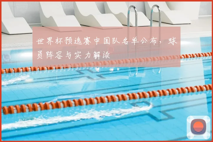 世界杯预选赛中国队名单公布，球员阵容与实力解读