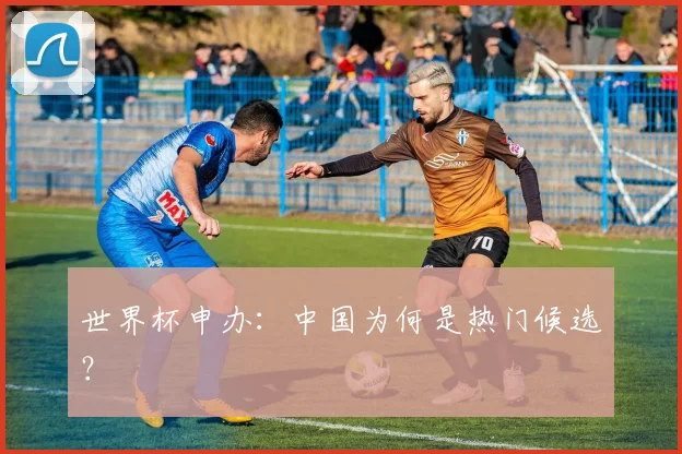世界杯申办：中国为何是热门候选？