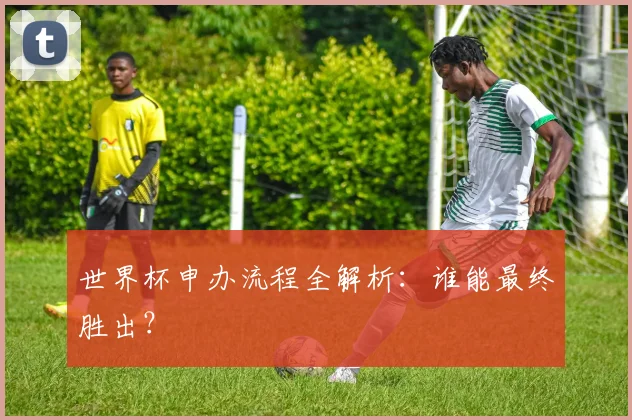 世界杯申办流程全解析：谁能最终胜出？